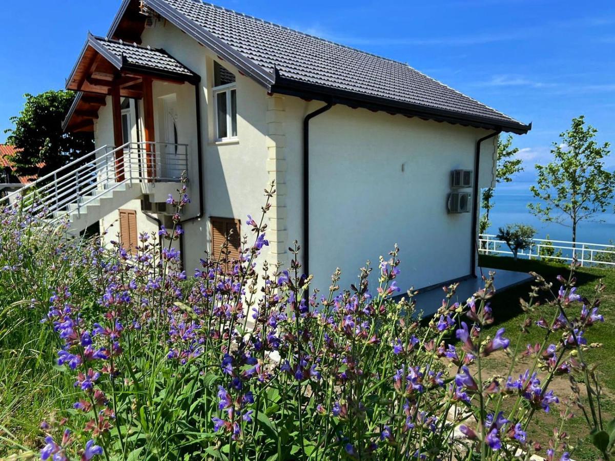 Xhuli Guesthouse Shkodër Exterior foto